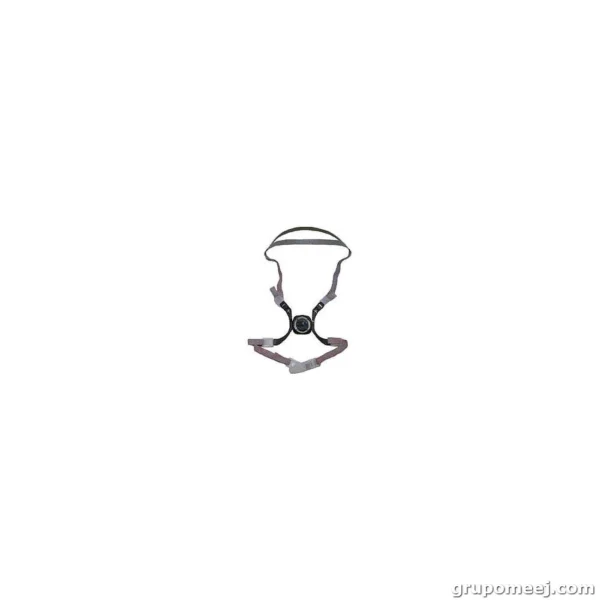 6281 Arnes original para serie 6000